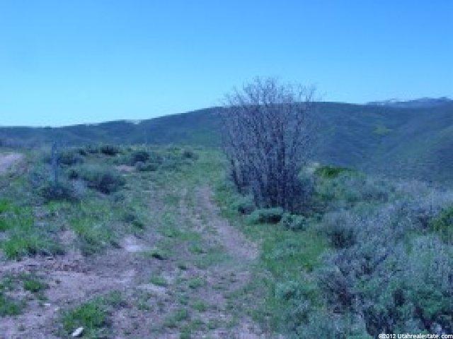 188 Ridge Top #188, Wanship, UT 84017 — photo 2