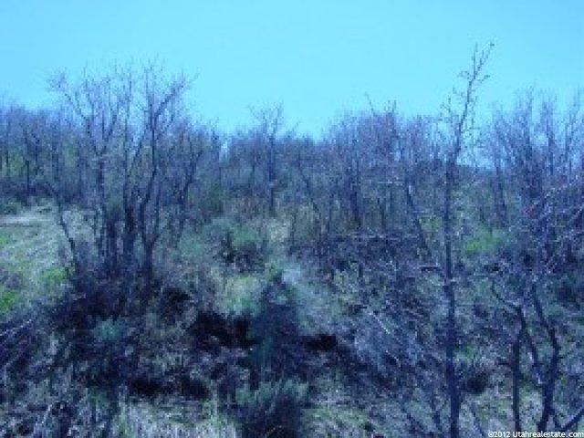178 Oakview Dr #178, Wanship, UT 84017 — photo 3