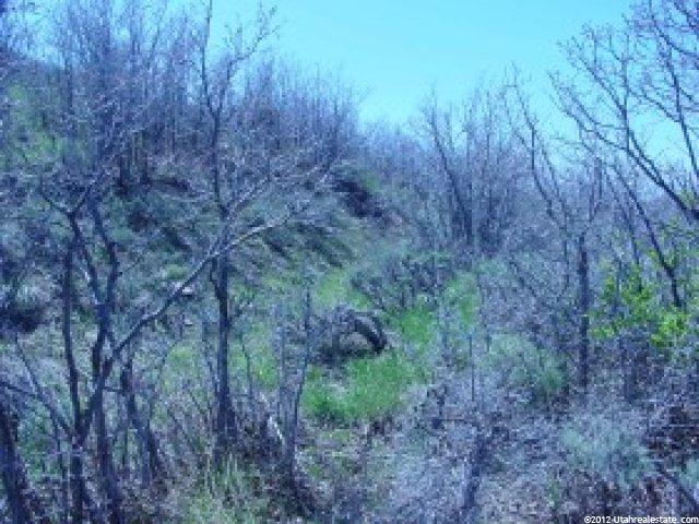 178 Oakview Dr #178, Wanship, UT 84017 — photo 4