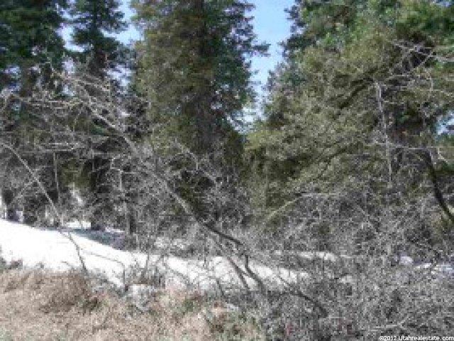 77 Deep Forest Rd #C-76, Wanship, UT 84017 — photo 2