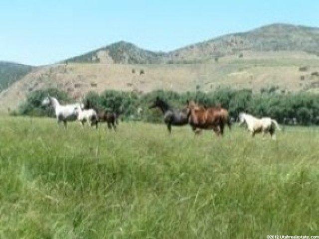 3381 W Marchant Ln, Peoa, UT 84061 — photo 2