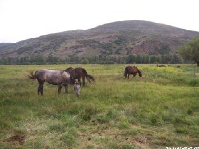 3381 W Marchant Ln, Peoa, UT 84061 — photo 5