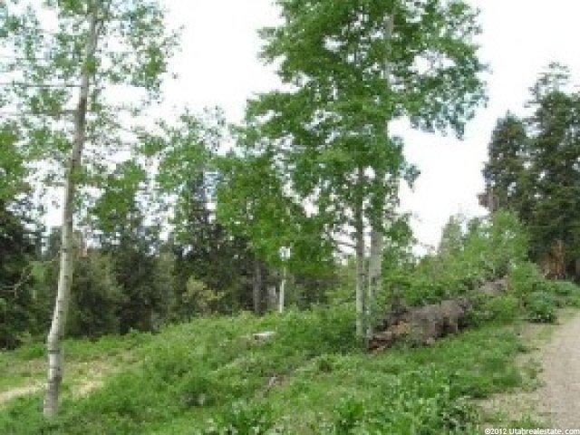 33 Pine Mdws #B-33, Wanship, UT 84017 — photo 4