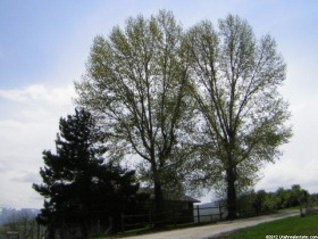 6874 E 1100 S, Huntsville, UT 84317 — photo 2