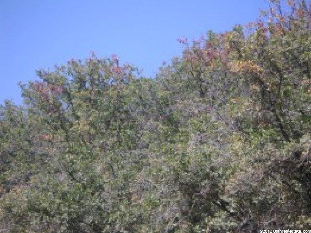 26 Bitner Rd #26, Park City, UT 84098 — photo 5