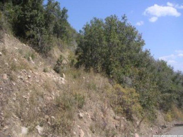 26 Bitner Rd #26, Park City, UT 84098 — photo 7