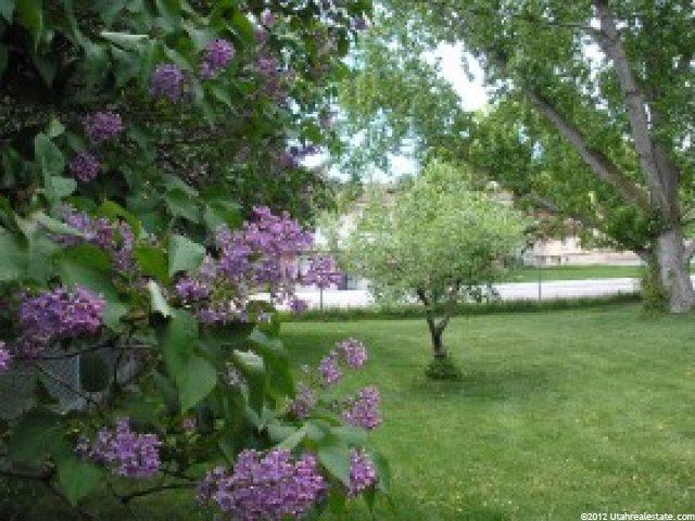 279 W 100 S, Kaysville, UT 84037 — photo 9