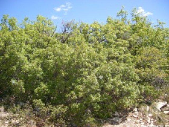 13784 E 22460 N ##58, Fairview, UT 84629 — photo 3