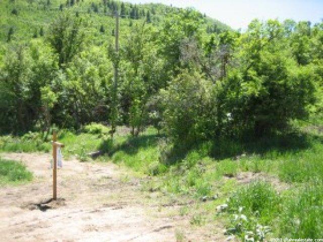 1380 W Lime Canyon Rd #2, Midway, UT 84049 — photo 2
