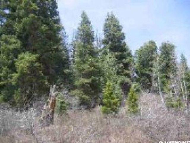 47 Navajo Dr #C47, Wanship, UT 84017 — photo 4