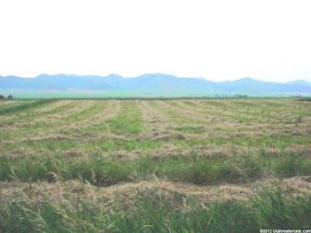 3450 E Ware Rd, Downey, ID 83234 — photo 3