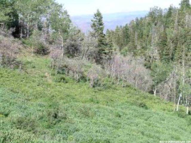 64 Pine Loop #F-64, Wanship, UT 84017 — photo 2