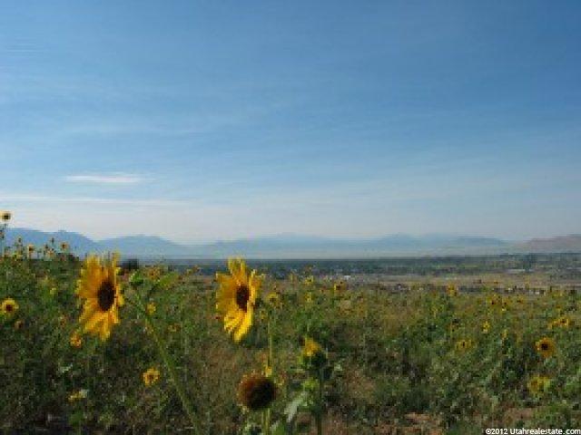 4193 N Red Maple Ct #28, Lehi, UT 84043 — photo 2