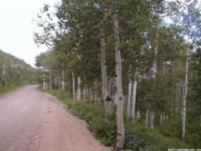 1 Guardsmans Pass Rd, Center Creek, UT 84032 — photo 2