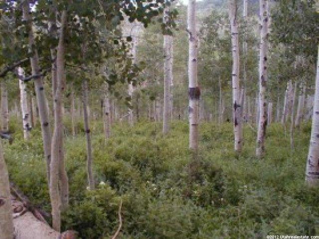 1 Guardsmans Pass Rd, Center Creek, UT 84032 — photo 3