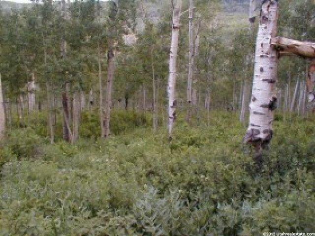 1 Guardsmans Pass Rd, Center Creek, UT 84032 — photo 4