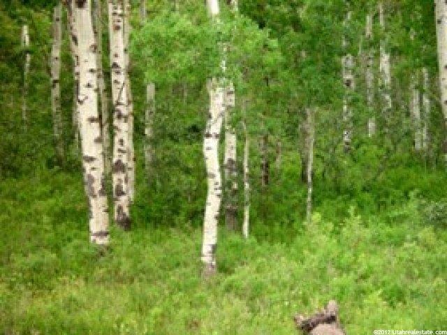 1 Guardsmans Pass Rd, Center Creek, UT 84032 — photo 10