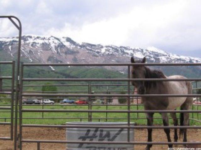 5349 N 3350 E, Eden, UT 84310 — photo 3