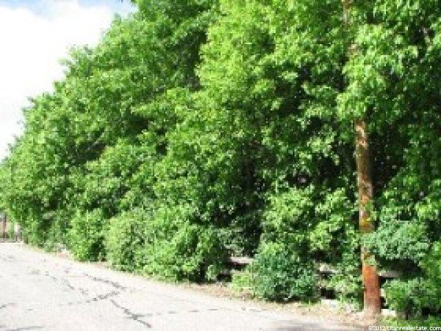 7777 S 300 E, Midvale, UT 84047 — photo 10