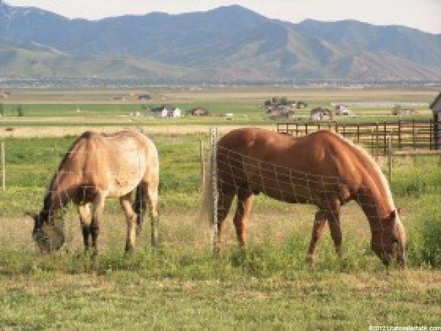 956 Bates Canyon Rd, Erda, UT 84074 — photo 6