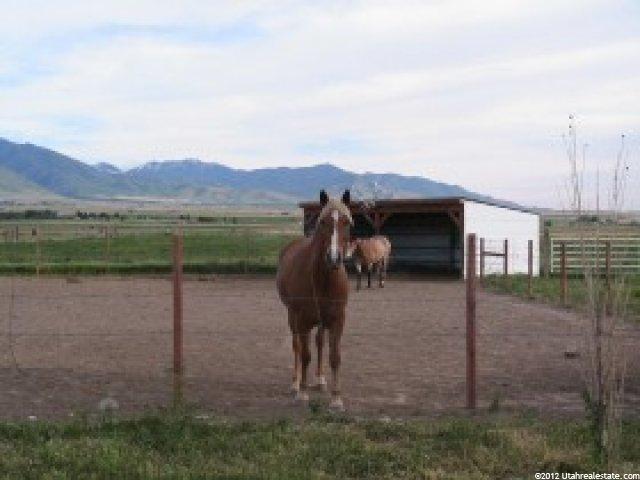 956 Bates Canyon Rd, Erda, UT 84074 — photo 9