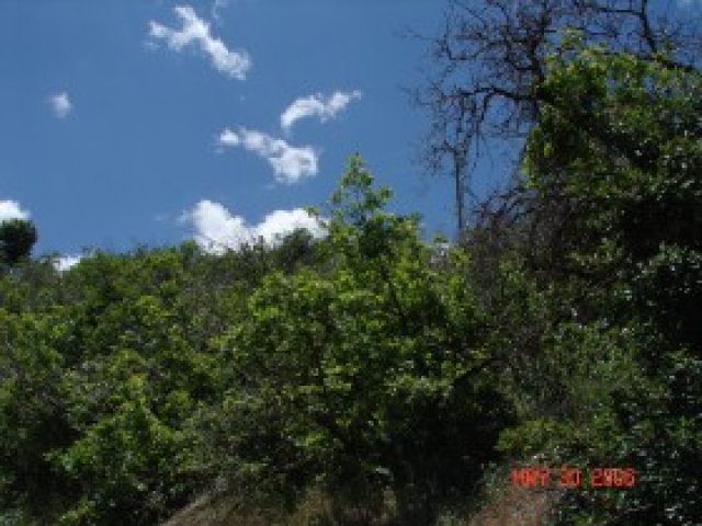 381 Bernway, Midway, UT 84049 — photo 9