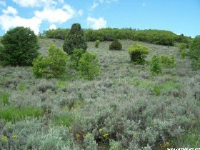5024 E Snowflake Dr N #23, Eden, UT 84310 — photo 4