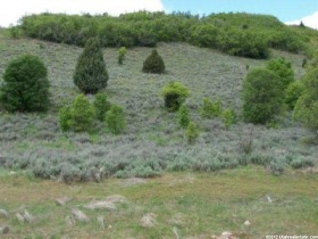 5024 E Snowflake Dr N #23, Eden, UT 84310 — photo 8