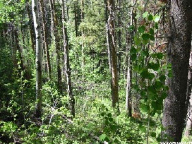 6282 E Cougar Ln #24, Kamas, UT 84036 — photo 2