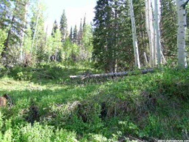 29 Alexander Cyn #F29, Wanship, UT 84017 — photo 2