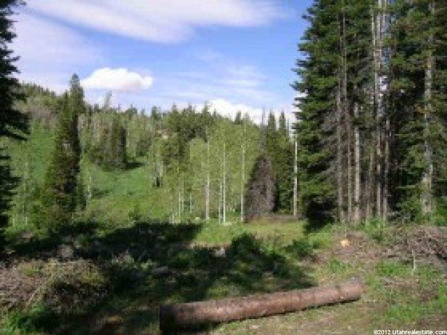 29 Alexander Cyn #F29, Wanship, UT 84017 — photo 3