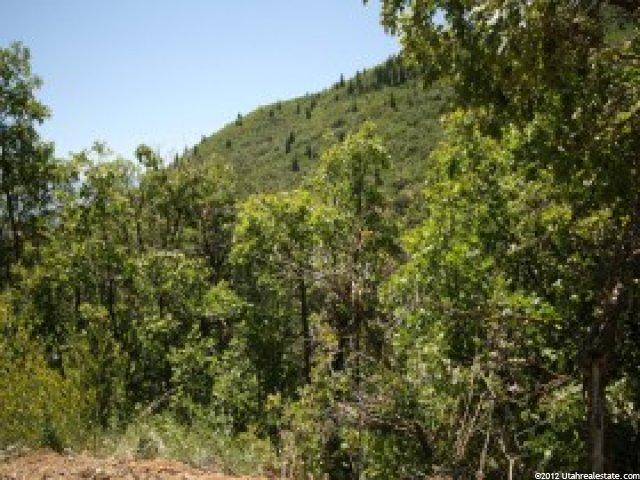 57 Oak Hvn #57, Midway, UT 84049 — photo 2