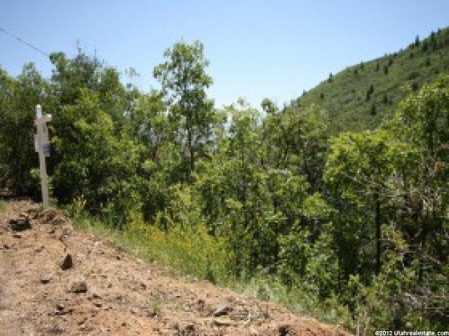 57 Oak Hvn #57, Midway, UT 84049 — photo 8