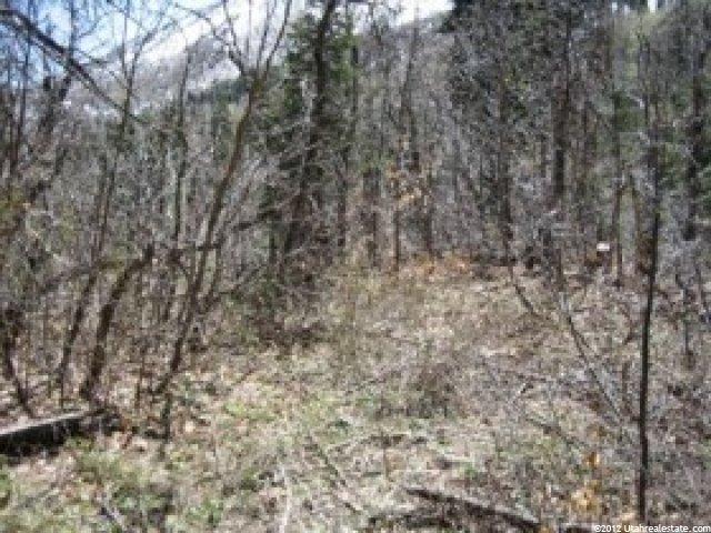 49 Kj Summer Homesite #49, Midway, UT 84049 — photo 2