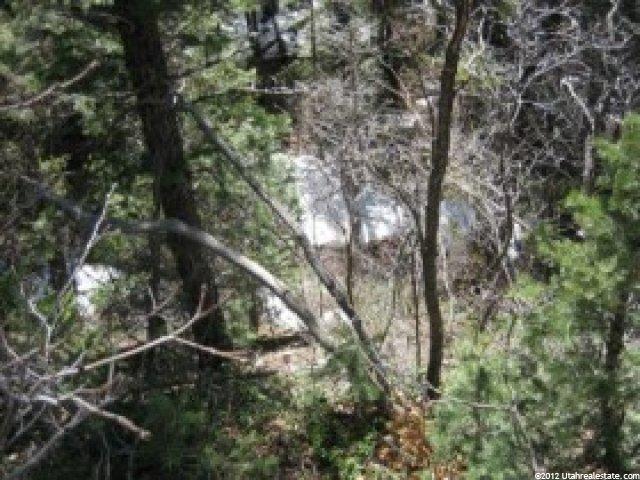 49 Kj Summer Homesite #49, Midway, UT 84049 — photo 4