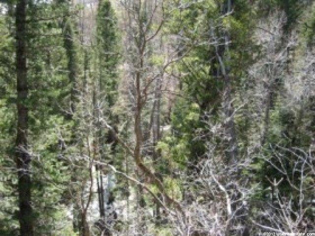 49 Kj Summer Homesite #49, Midway, UT 84049 — photo 5