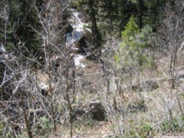 49 Kj Summer Homesite #49, Midway, UT 84049 — photo 6