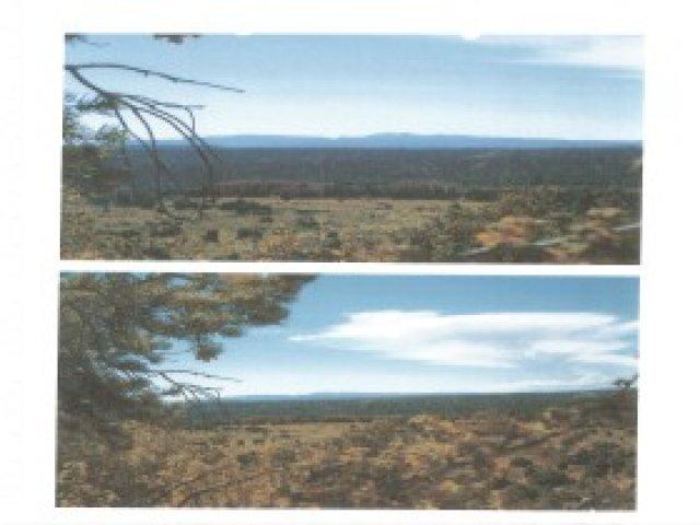 100 E 100 S, Tropic, UT 84776 — photo 2