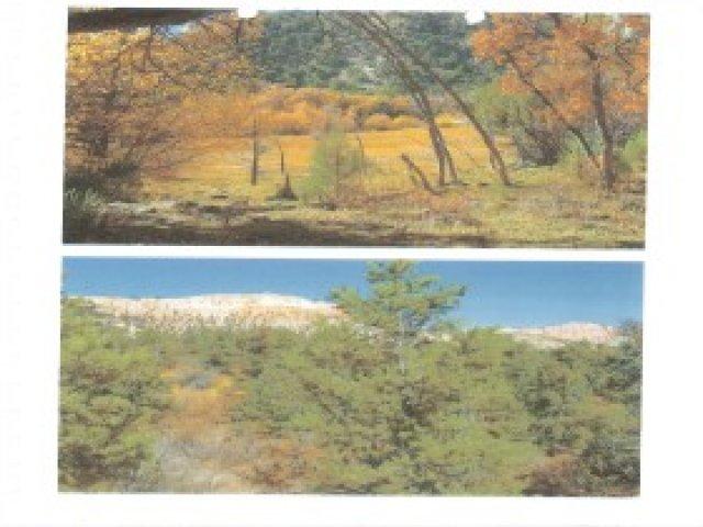 100 E 100 S, Tropic, UT 84776 — photo 5