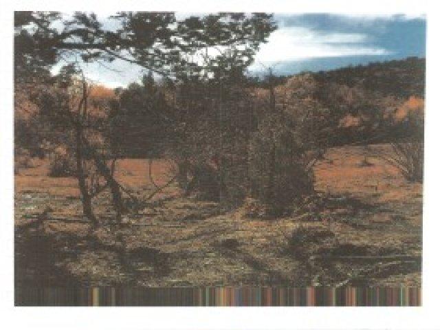100 E 100 S, Tropic, UT 84776 — photo 6