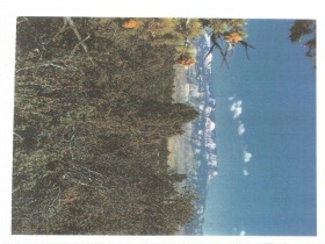 100 E 100 S, Tropic, UT 84776 — photo 7