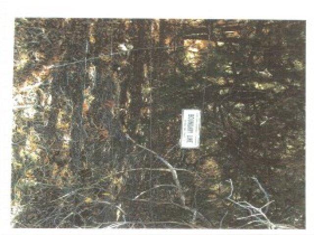 100 E 100 S, Tropic, UT 84776 — photo 8
