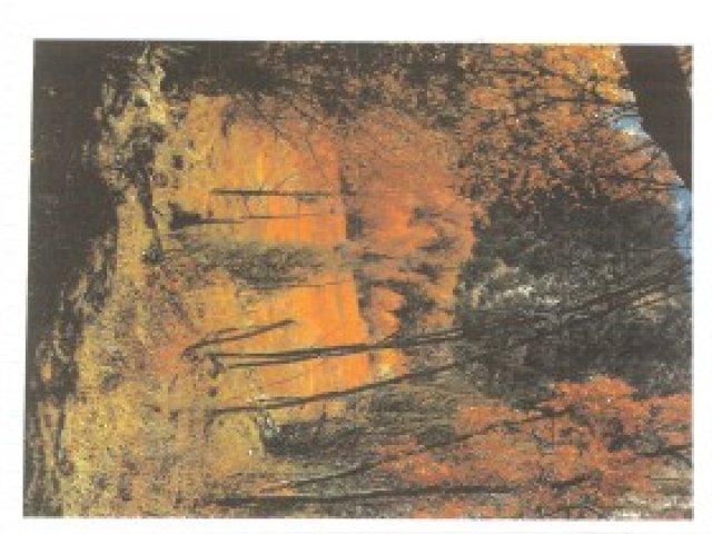 100 E 100 S, Tropic, UT 84776 — photo 9