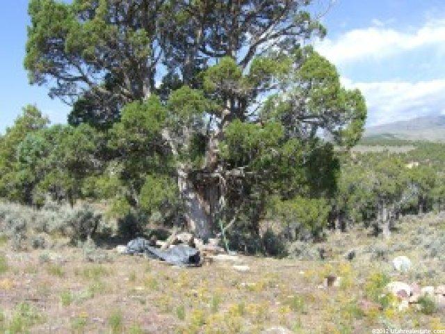 12495 E Solitude Dr #41, Lapoint, UT 84039 — photo 5