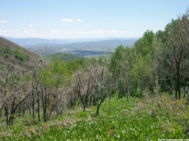23 Lower Cove Rd, Park City, UT 84060 — photo 3