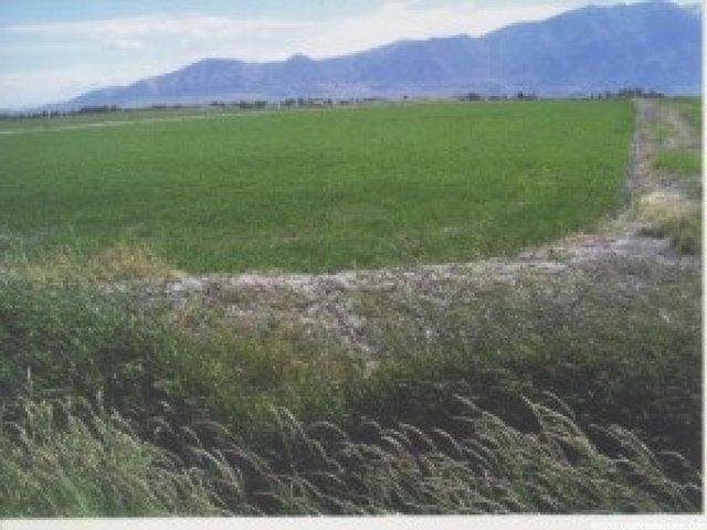 3485 S Hwy 89, Perry, UT 84302 — photo 4