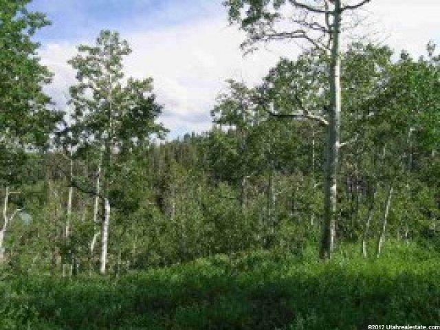 79 Elk Rd #g-97, Wanship, UT 84017 — photo 2