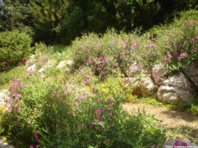 4420 N 350 W, Pleasant View, UT 84414 — photo 12