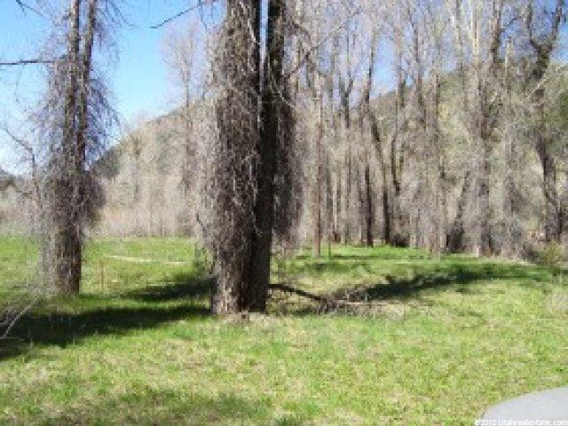 3645 E Weber Canyon Rd #149, Oakley, UT 84055 — photo 2