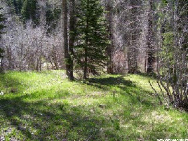 3645 E Weber Canyon Rd #149, Oakley, UT 84055 — photo 4